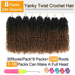 Aksice curly Senegalese micro twist adds depth and dimension