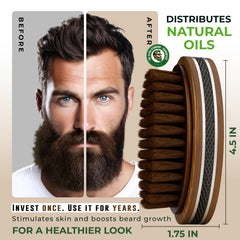 Alpha Organics natural boar bristles closeup showing oil distribution