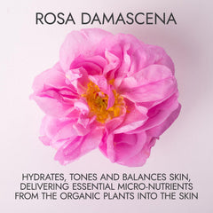 Alteya Organics Rosa Damascena petals showing single-ingredient distillate benefits