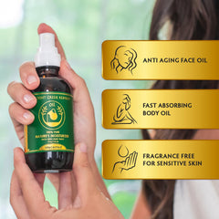 Ancient Greek Remedy rosehip oil visual highlighting vitamin-rich nourishment