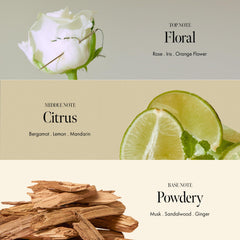 ANILLO Rosy Night Repair Shampoo rose-water detail suggests rich hydration for damaged strands