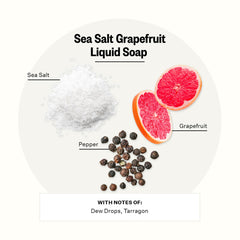 APOTHEKE fragrance notes of grapefruit and sea salt evoke a refreshing sensory experience