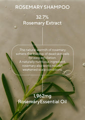 Closeup of Rosemary Conditioner cream texture and nourishment