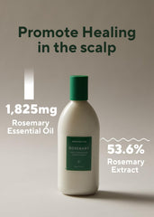 AROMATICA Rosemary Conditioner with rosemary shows pure, gentle care.