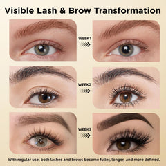 ASAMO eyebrow growth serum tube ready for use.