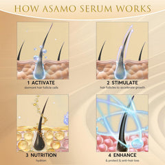 ASAMO packaging gold box signals premium, hypoallergenic lash care
