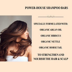 Aspen Kay Naturals Moroccan Argan Oil Shampoo Bar texture and soap-free formula detail