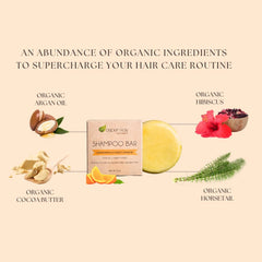 Aspen Kay Naturals Moroccan Argan Oil Shampoo Bar citrus scent emphasis for refreshing wash