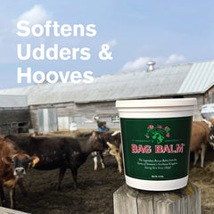 Bag Balm cracked heels treatment smooths rough skin and heels.