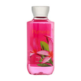 Bath & Body Works Plumeria Shower Gel 10oz bottle for refreshing cleansing with floral scent
