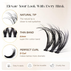 BEFER Beauty DIY lashes at-home setup shows 120/144/180 pcs variety for versatile looks.