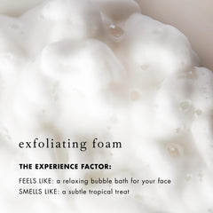 Bioelements Flash Foam Cleanser enzyme ingredients illustrate pumpkin, papaya, pineapple