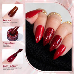 Born Pretty holiday gel polish collection packaging shot suggests gift-ready set