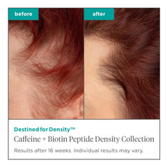 Briogeo Destined for Density creamy texture emphasizes lightweight hydration for fine hair
