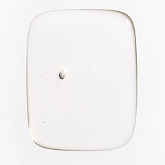 Briogeo Farewell Frizz rosehip oil closeup highlights natural nourishment.