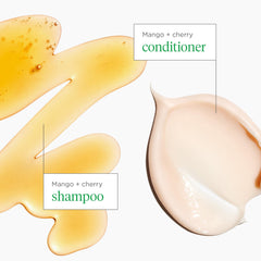 Briogeo Mango Cherry fruit ingredients close-up with antioxidant blend highlights.