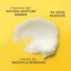 Burt's Bees beeswax and vitamin E ingredients highlighting natural origin
