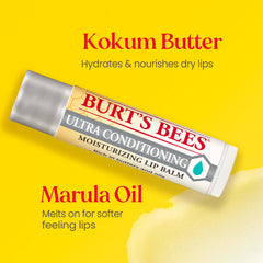 Burt's Bees lip balm highlighting kokum butter, shea and marula oil for nourished lips.