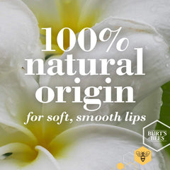 Burt's Bees lip shine packaging demonstrates recyclable materials for eco-conscious beauty