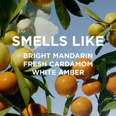 By Rosie Jane Remi mandarin note close-up highlighting refreshing citrus mood