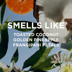 Missy travel spray cap and packaging for on-the-go fragrance
