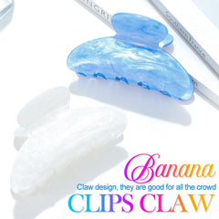 CAKURE acrylic claw clip lakeblue 2-pack for durable grip
