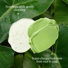 California Naturals Moisture Conditioner creamy texture suggests nourishing softness and lasting manageability.