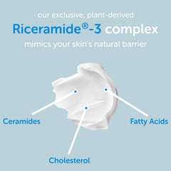Ceramedx packaging beside daily morning essentials for daily moisture.