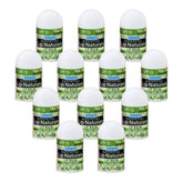 CHAP-ICE Lip Naturals mini tea tree balm SPF15 pack — convenient on-the-go hydration