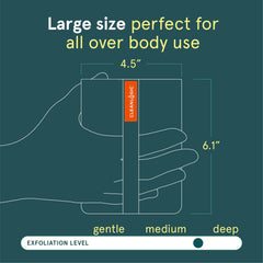 Cleanlogic Sport Exfoliating Body Scrubber foam-lather scene implies refreshing, hygienic clean.