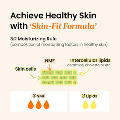 CNP Honey Ceramide Moisturizer propolis ampule image emphasizes antioxidant-rich nourishment