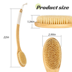 COINPOTIA natural-bristles-moderately-soft provides gentle exfoliation
