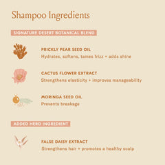 DAE Signature Duo Conditioner application on wet hair from mid-lengths to ends.