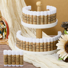 Dansib lip balm flavor varieties display original, honey, mint, vanilla, and strawberry scents.