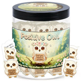 DEARMINE Positive Owl Jar with the owl design for daily encouragement in home or office