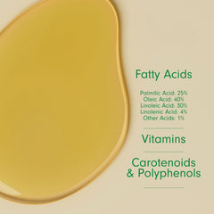 Dersie Batana Oil on scalp demonstrates nourishing moisture.