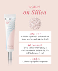 DHC Velvet Skin Coat swatch on skin demonstrating matte finish and blurred pores.