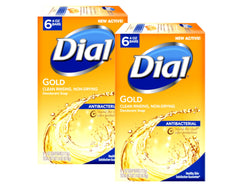 Dial Gold antibacterial soap bar hero with two-pack, offering everyday freshness and deodorant protection.