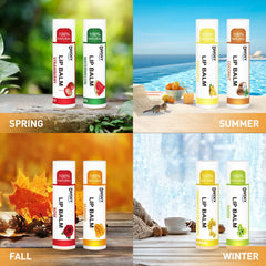 Dmsky lip balm packaging highlights natural beeswax formula for gentle everyday care.