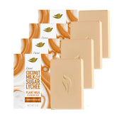 Dove Plant Milk Cleansing Bar coconut-milk-lather demonstrates gentle cleansing and moisture.