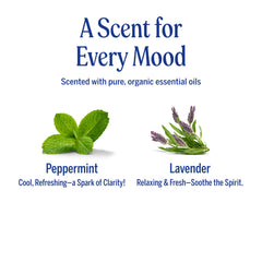 Dr. Bronner's Organic Hair Crème anti-frizz shine for a light, controlled finish.