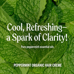 Dr. Bronner's Organic Hair Creme on hair delivering glossy shine and soft texture