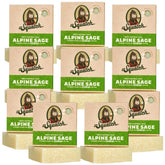 Dr. Squatch Alpine Sage bar soap pack shows a ten-pack for daily cleansing and routine refresh.