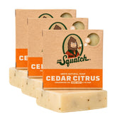 Dr. Squatch Cedar Citrus bar close-up showing natural texture for daily clean.
