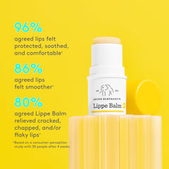 Drunk Elephant Lippe Balm packaging front highlights clean fragrance-free formula