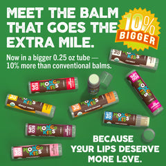 Eco Lips Mongo Kiss tube front label close-up showing organic ingredients