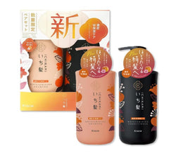 Embeauty Ichikami set packaging box showing two 480ml bottles