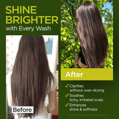 Ember Cloud Tea Tree Rosemary Conditioner bottle delivering detangling ease and natural shine.
