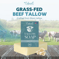 Erbaid beef tallow soap bar closeup highlights creamy texture for dry skin