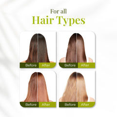 Expert Hair Bio Protein Botox jar and scoop highlights at-home application convenience